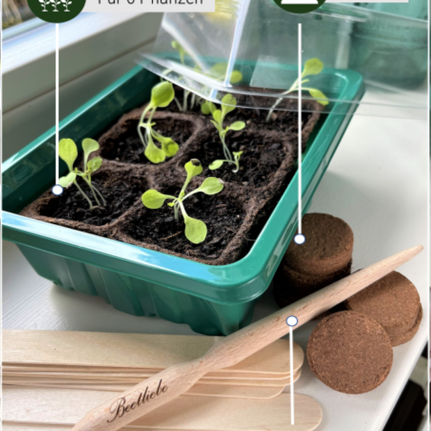 Anzuchtschalen Set [Kunststoff] & Pikierstab aus Holz