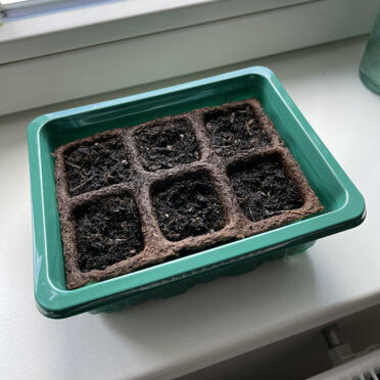 Anzuchtschale mit Deckel (Kunststoff)