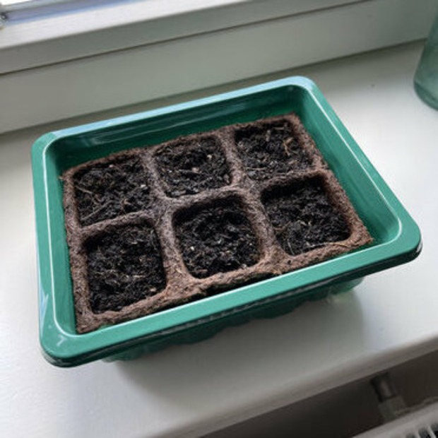 Anzuchtschale mit Deckel (Kunststoff)