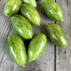 Tomate "Green Sausage" - BIO-Tomatensorte [samenfest]