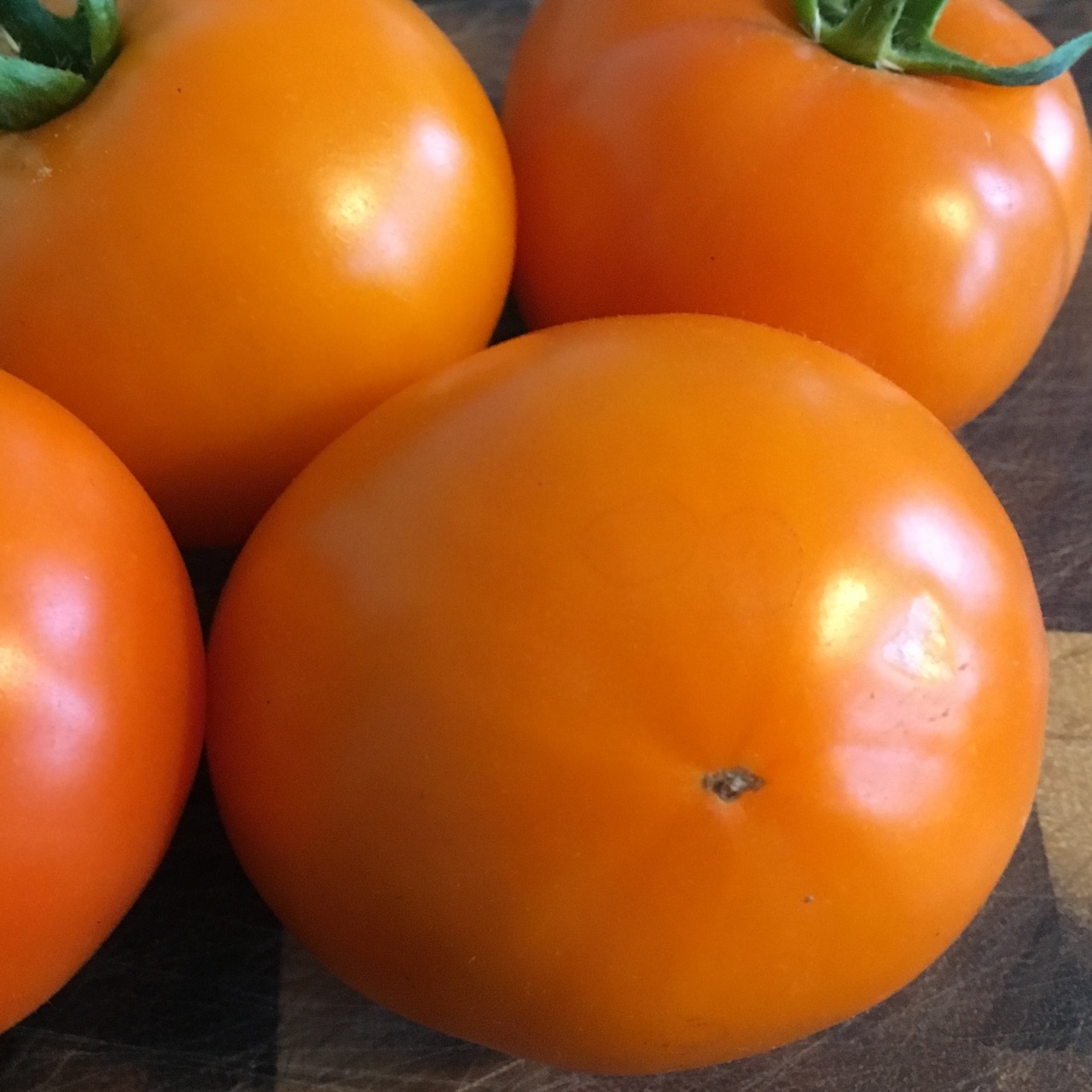 Tomate "Valencia" - BIO-Tomatensorte [samenfest]