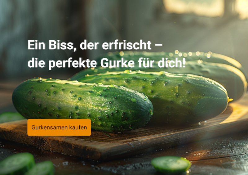 Titelbild beetliebe