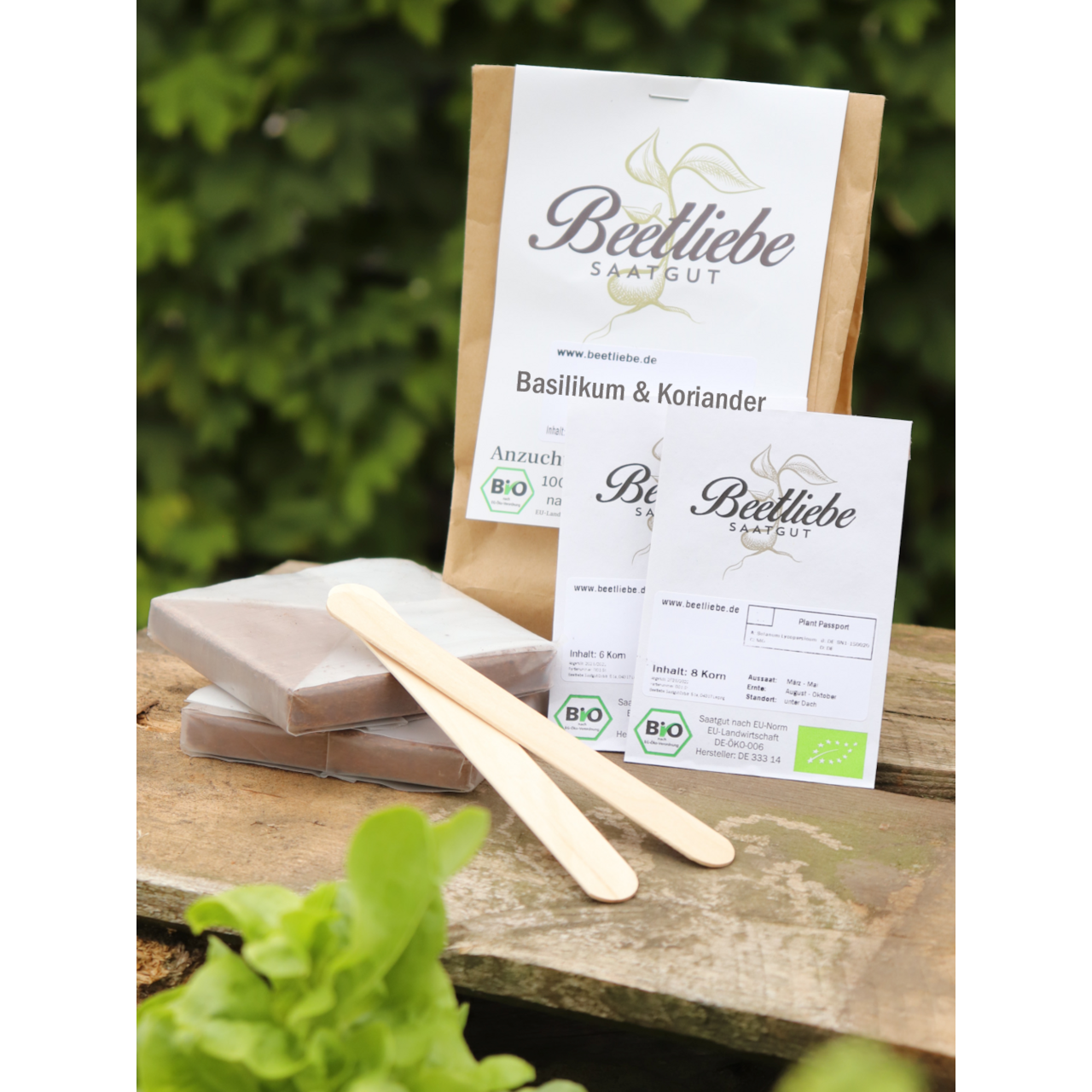 Anzucht-Set "Basilikum & Koriander" [4007, 400]