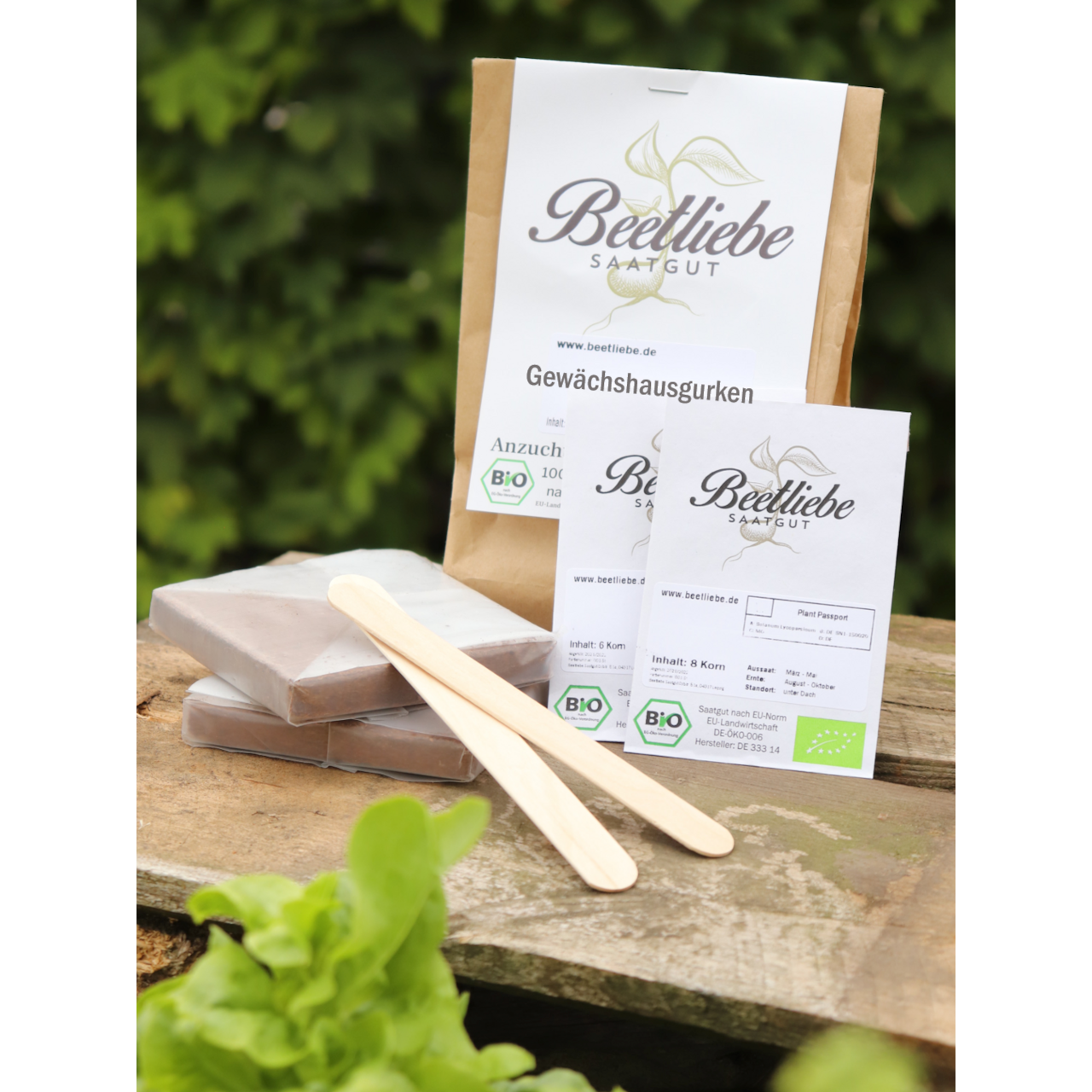 Anzucht-Set "Gewächshausgurken"