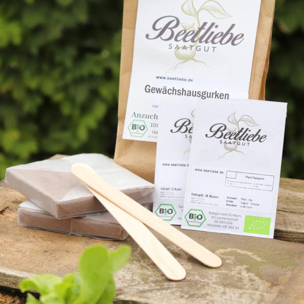 Anzucht-Set "Gewächshausgurken"
