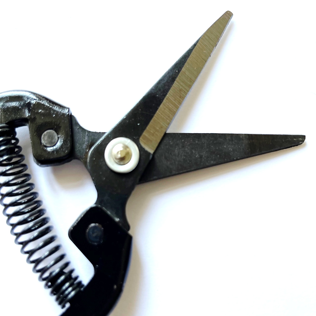 Tomatenschere zum Ausgeizen, Beschneiden & Ernten