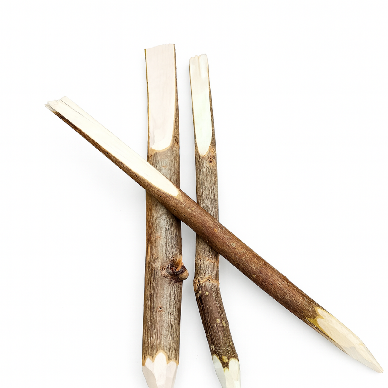 Pflanzenschilder zum Beschriften