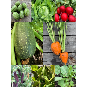 Gemüsesamen-Set "Balkongemüse" - 8 BIO-Sorten [samenfest]