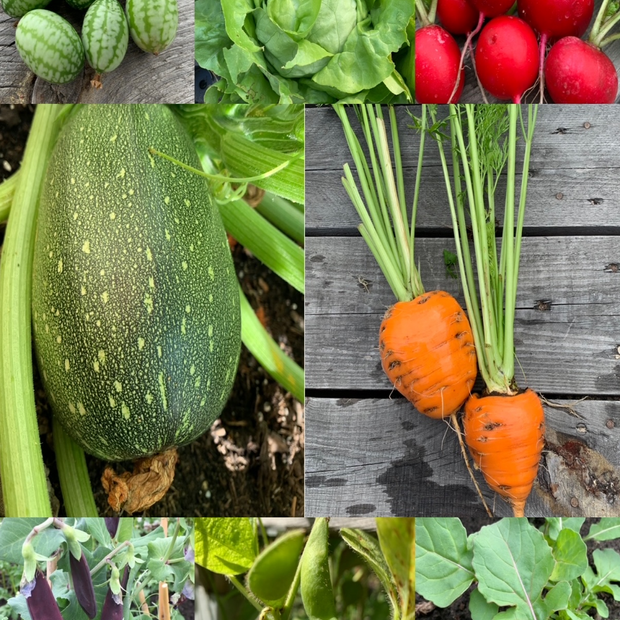 Gemüsesamen-Set "Balkongemüse" - 8 BIO-Sorten [samenfest]