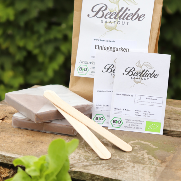 Anzucht-Set "Einlegegurken"