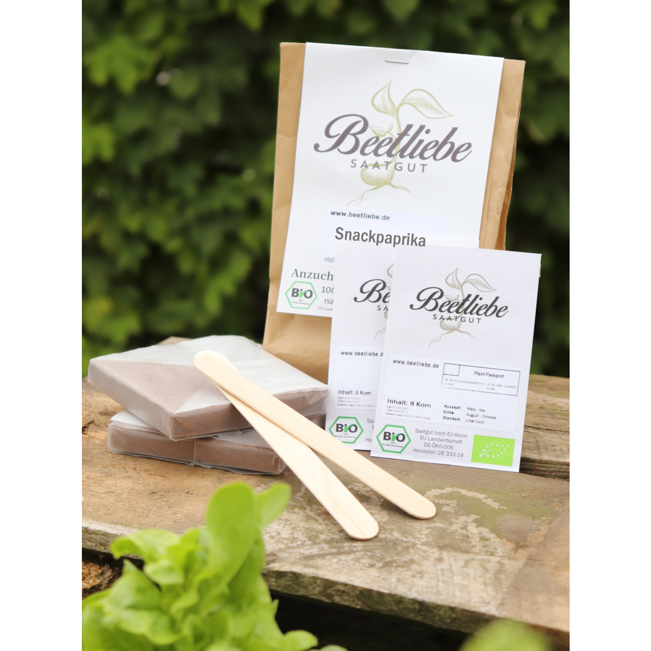 Anzucht-Set "Snackpaprika" [15, 18]