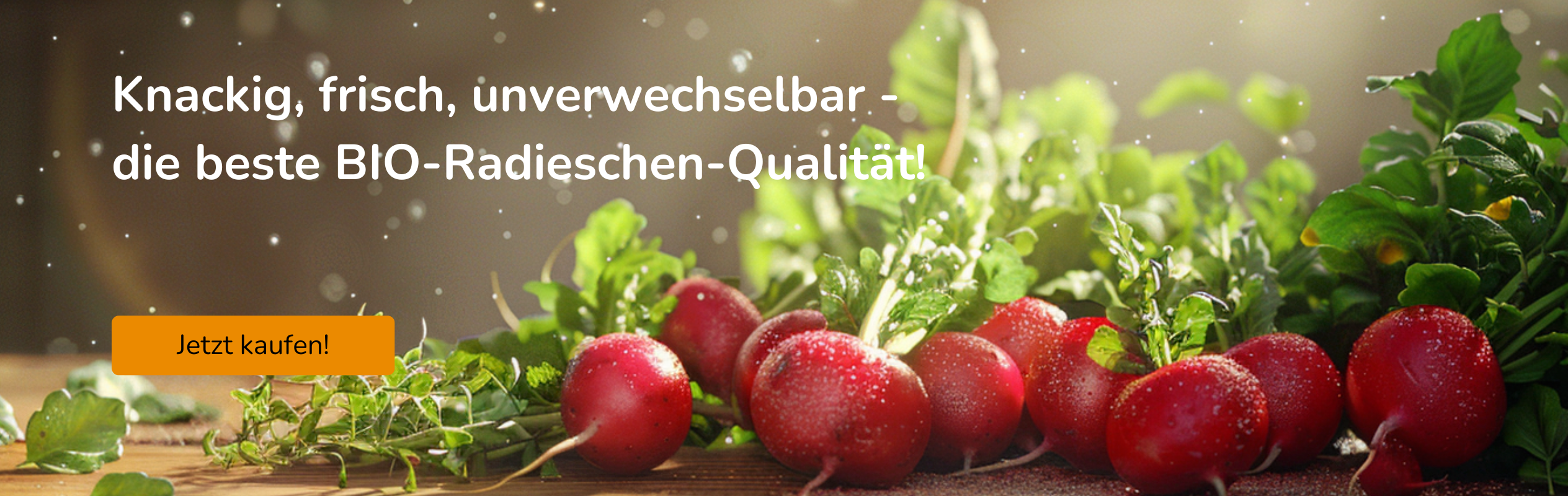 Gemüsesamen Set