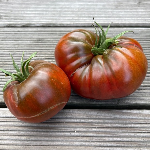 Tomate "Tschernij Prinz" - BIO-Tomatensorte [samenfest]