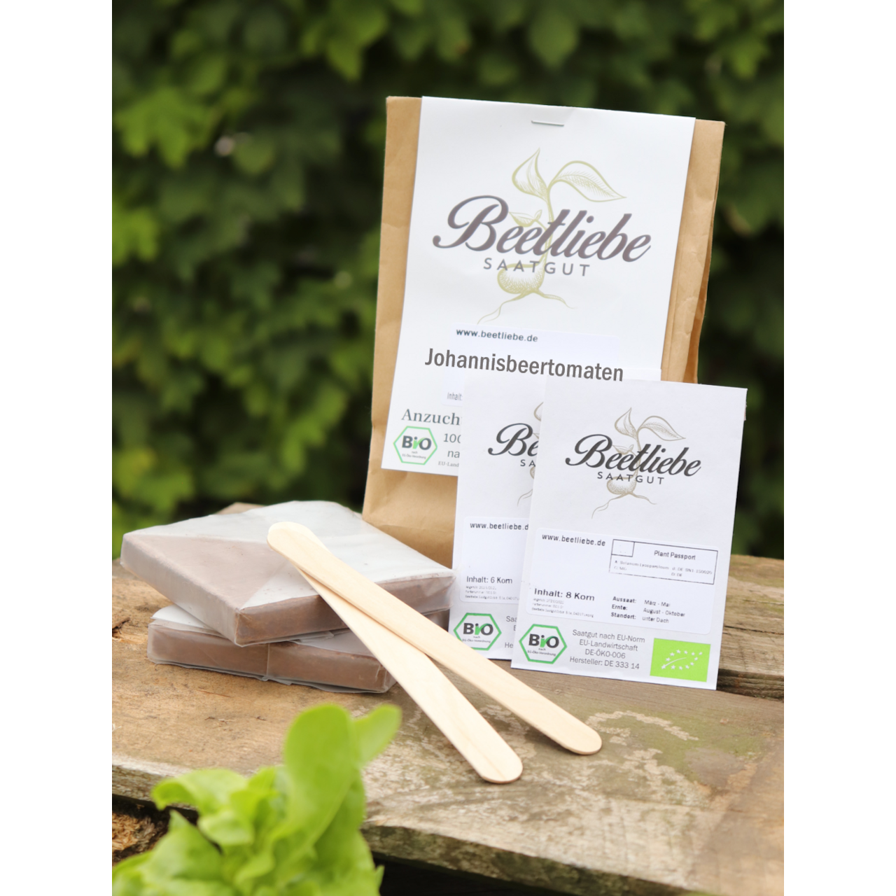 Anzucht-Set "Johannisbeertomaten" [10, 39]
