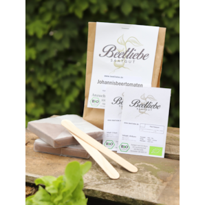 Anzucht-Set "Johannisbeertomaten" [10, 39]