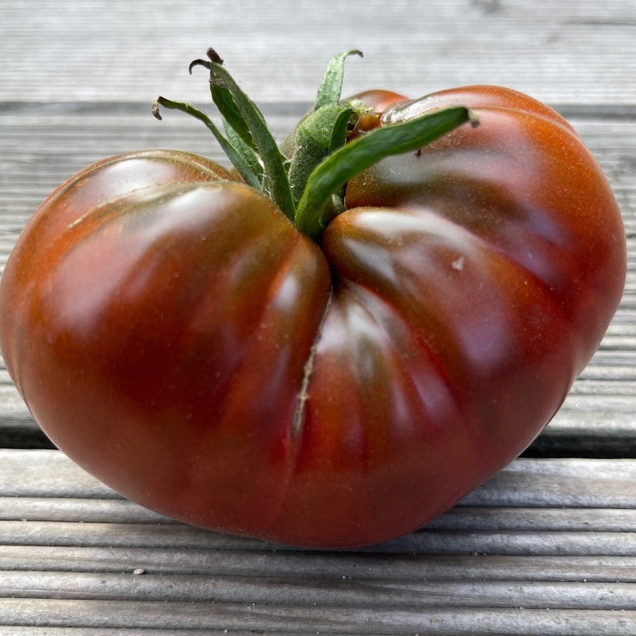 Tomate "Tschernij Prinz" - BIO-Tomatensorte [samenfest]