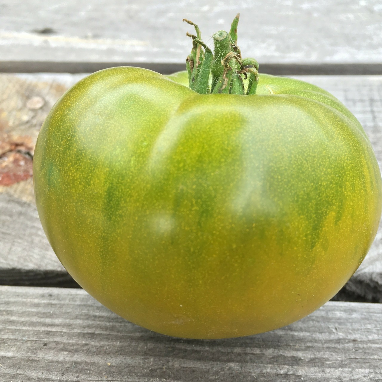 Tomate "Smaragdapfel" - BIO-Tomatensorte [samenfest]