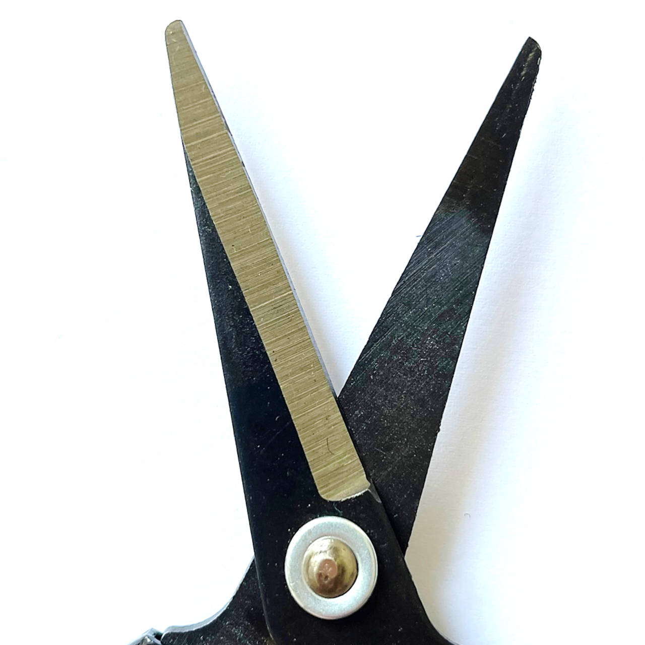 Tomatenschere zum Ausgeizen, Beschneiden & Ernten