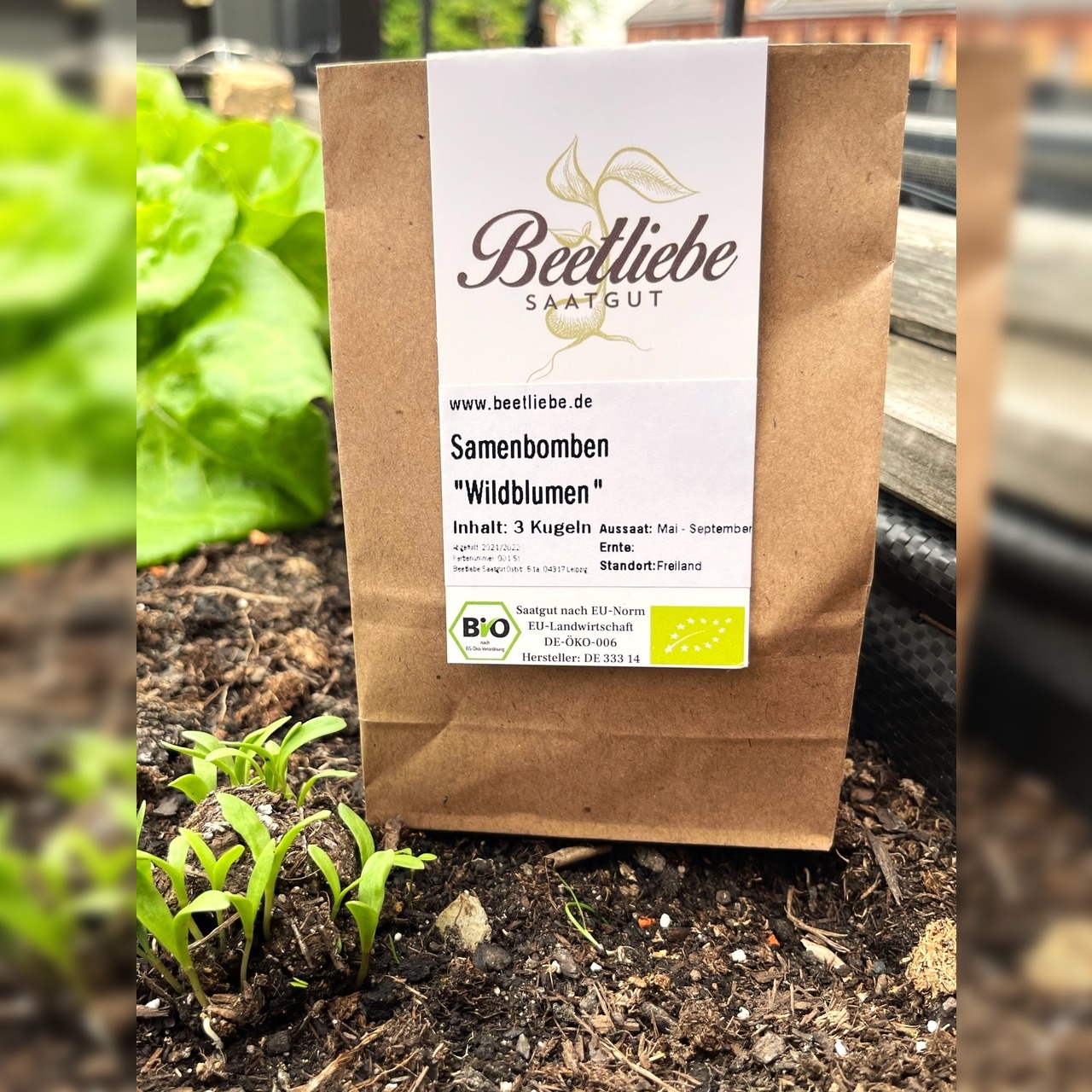 "Wildblumen" Samenbomben mit Bio Saatgut