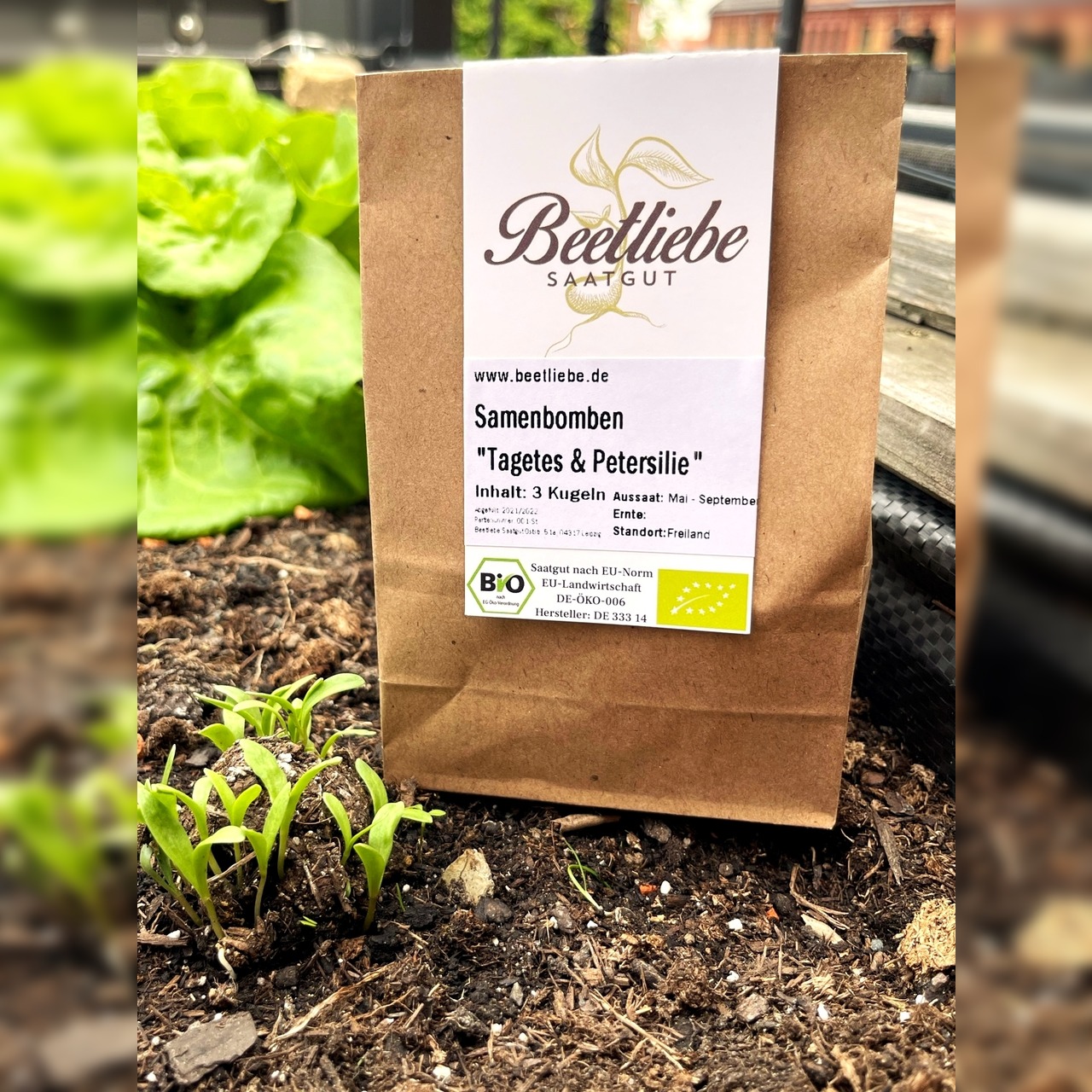 "Tagetes & Petersilie" Samenbomben mit Bio Saatgut
