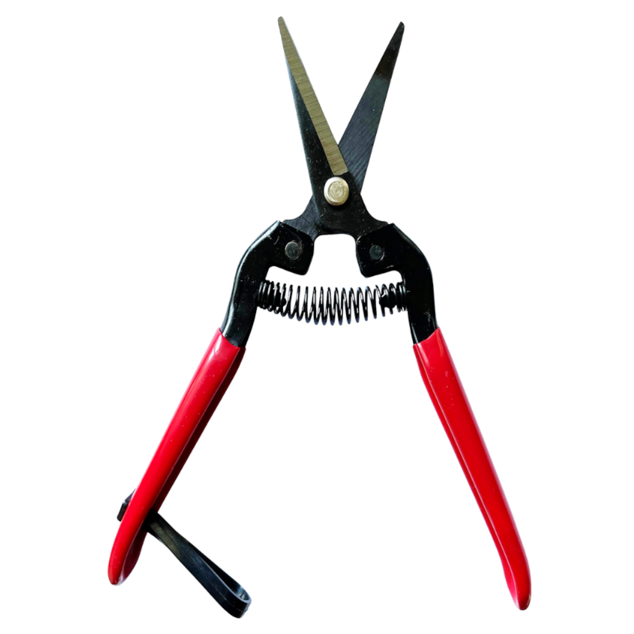 Tomatenschere zum Ausgeizen, Beschneiden & Ernten