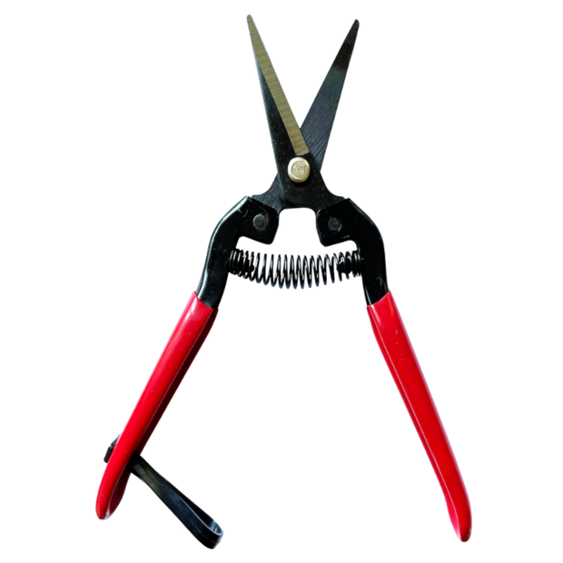 Tomatenschere zum Ausgeizen, Beschneiden & Ernten