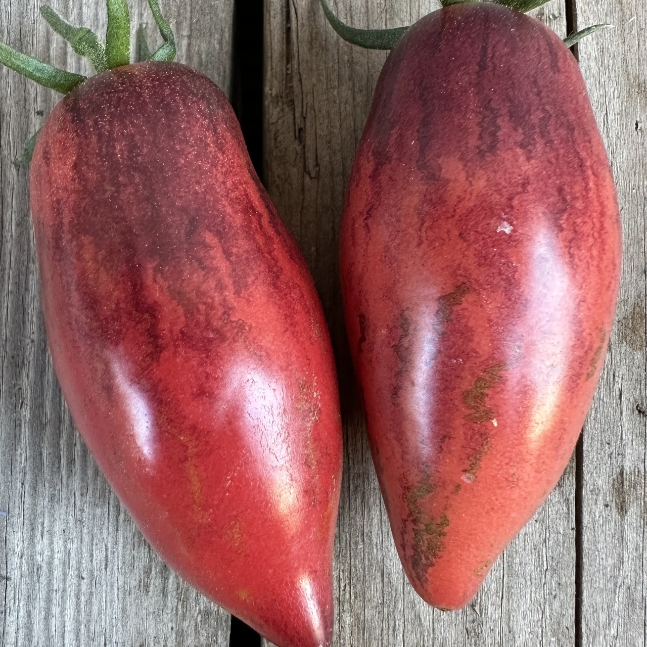 Tomate "Slivka Gurman" - BIO-Tomatensorte [samenfest]