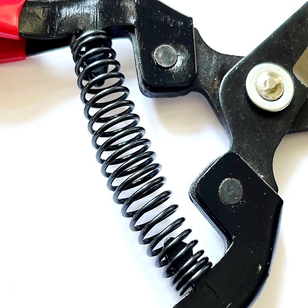 Tomatenschere zum Ausgeizen, Beschneiden & Ernten