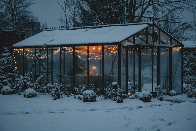 Bild von Aussaat & Anzucht im Januar: Tipps fĂĽr Bio-Saatgut