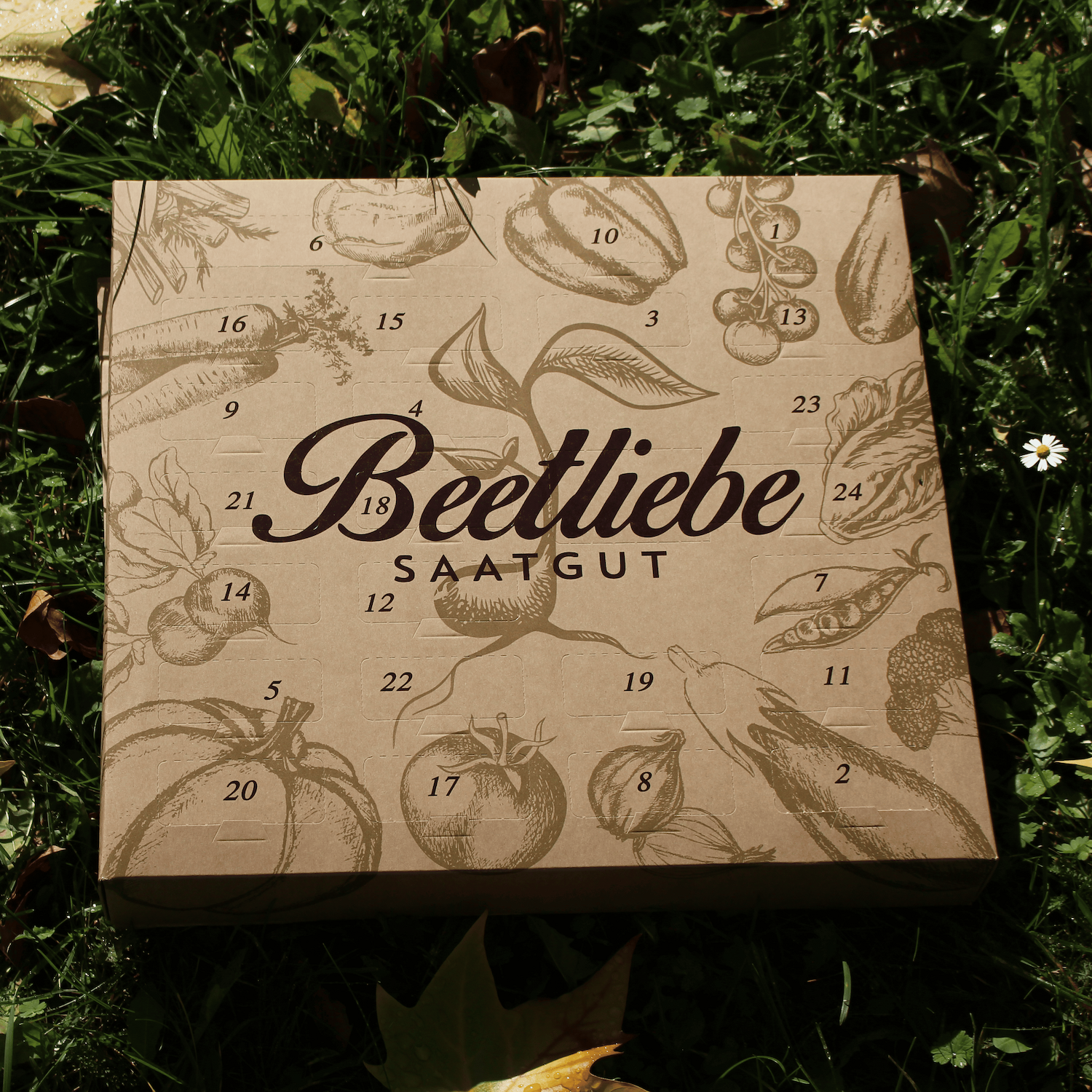 Gemsesamen Adventskalender 2025 kaufen  100% BIO | Beetliebe