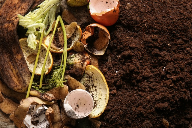 Bild von Alte Erde aufbereiten & wiederverwenden