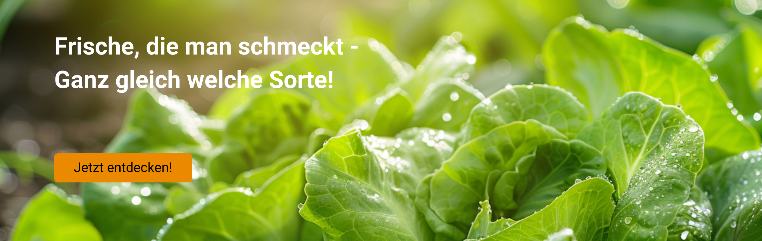 Alte Tomatensorten