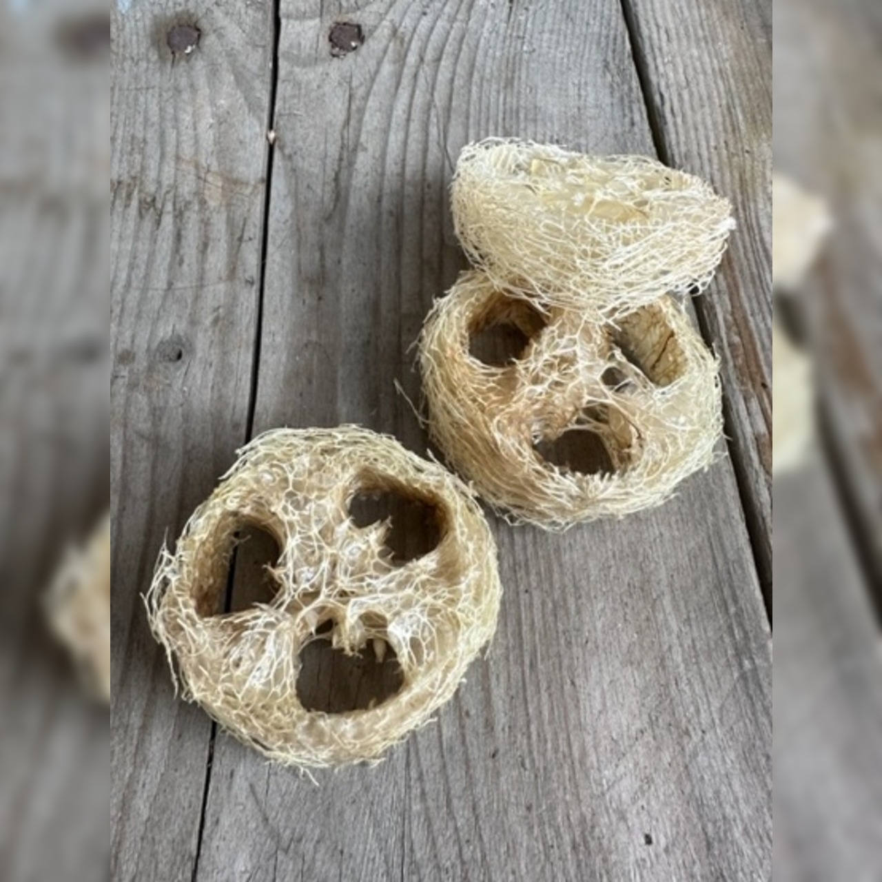 Luffa Seifenkissen (Naturschwamm)