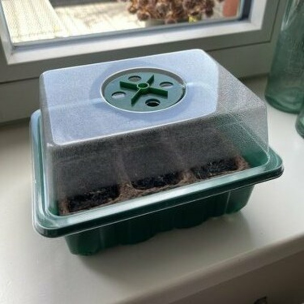 Anzuchtschale mit Deckel (Kunststoff)