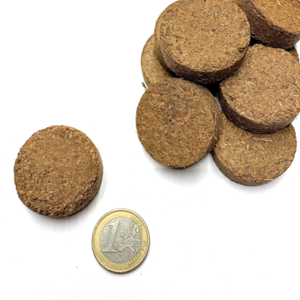 Kokos Quelltabletten Ø 35 mm - Anzuchterde [torffrei]
