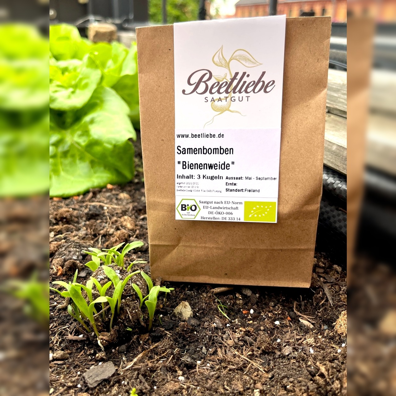 "Bienenweide" Samenbomben mit Bio Saatgut