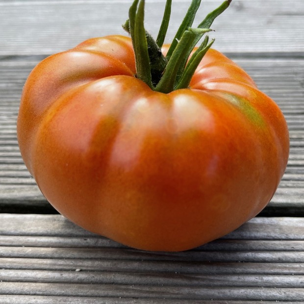 Anzucht-Set "alte Tomatensorten" [03, 17]