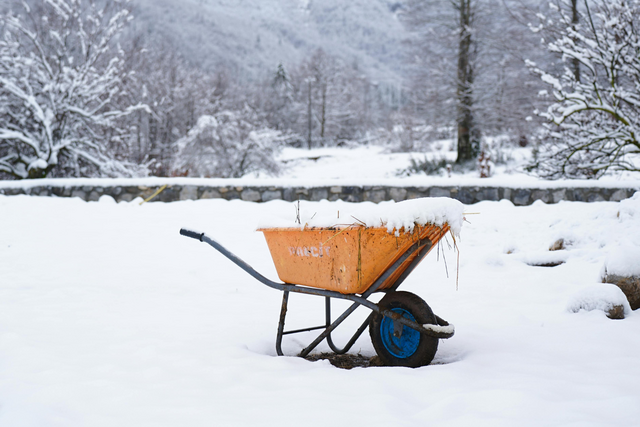 Bild von Gartenarbeit im Dezember: Tipps für deinen Winterg