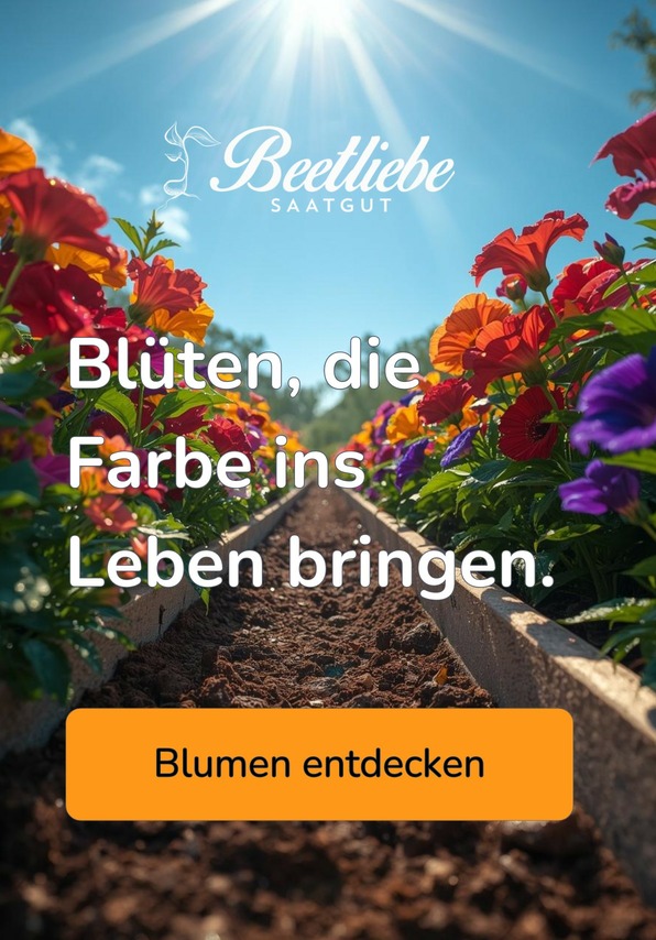 Blumensamen entdecken - samenfestes Saatgut | Beetliebe