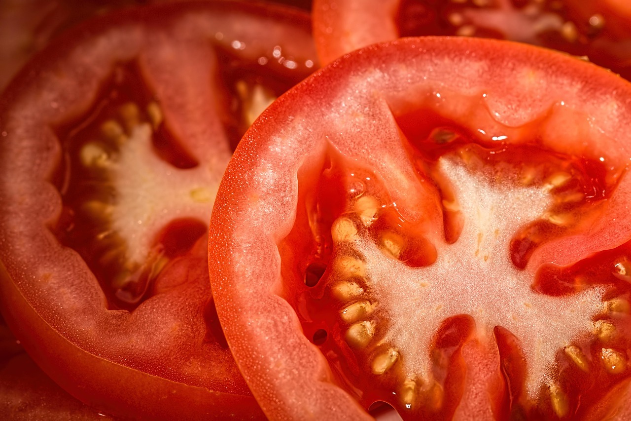 Tomatensamen gewinnen aus reifen Früchten