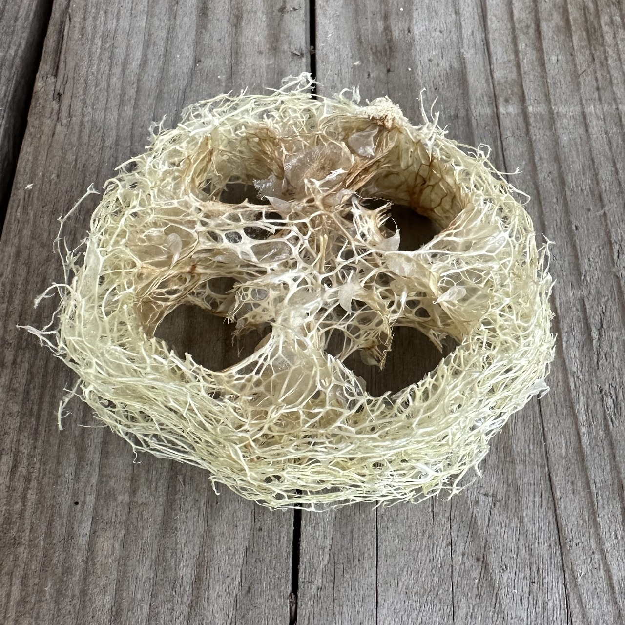 Luffa Seifenkissen (Naturschwamm)