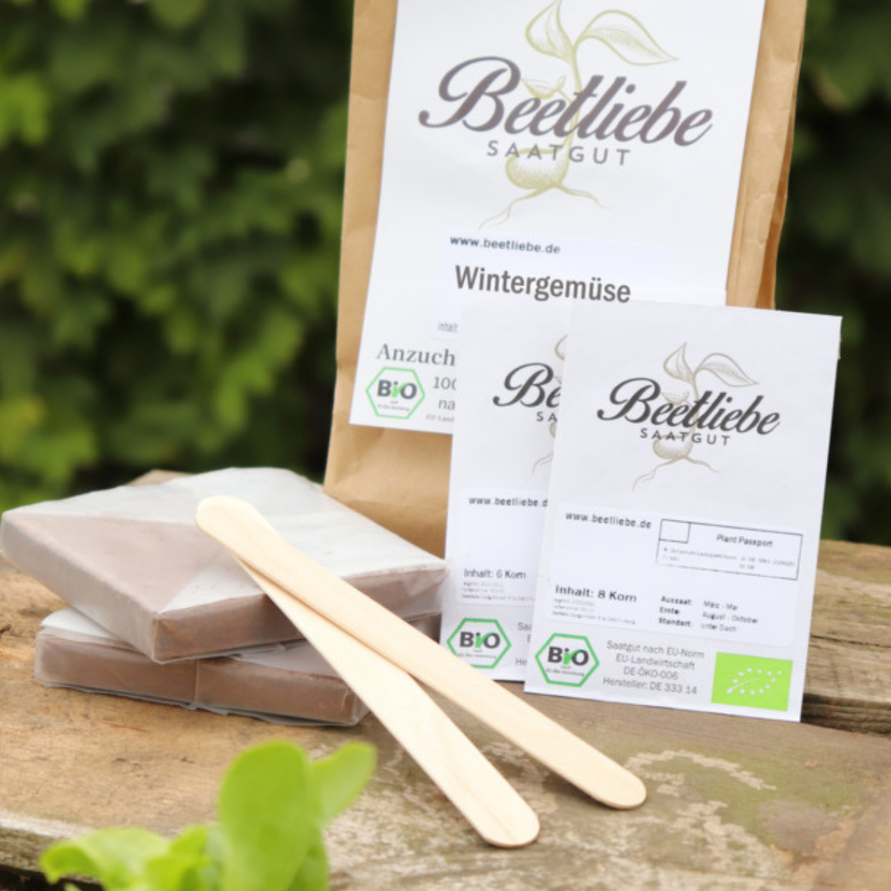 Anzucht-Set "Wintergemüse" [93, 97]