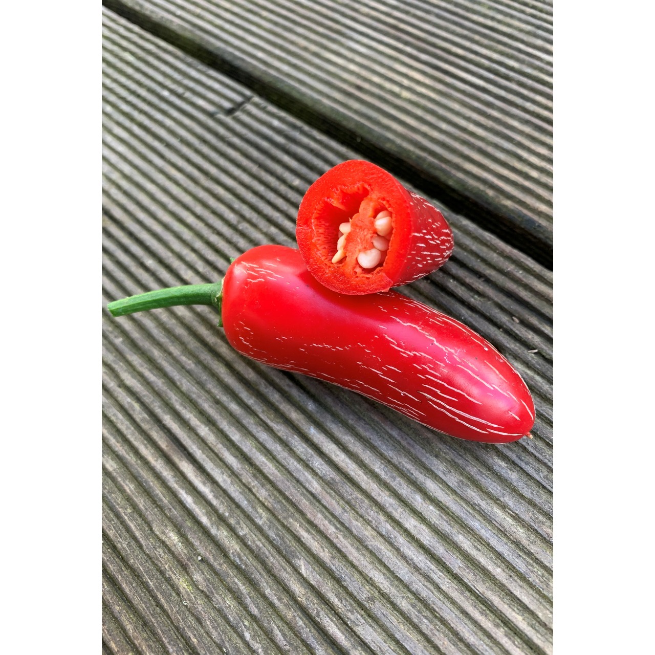 Gemüsesamen-Set "italienisches Gemüse" - 4 BIO-Sorten [samenfest]