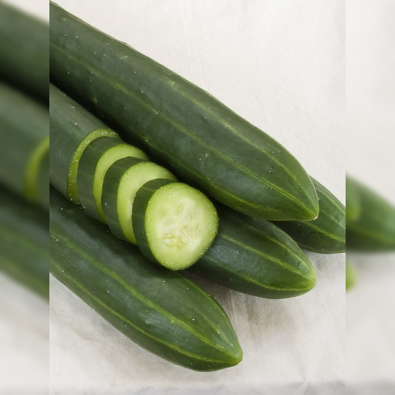 Gurke "Arola" - BIO-Samen