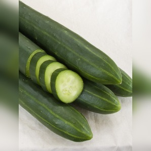 Gurke "Arola" - BIO-Samen