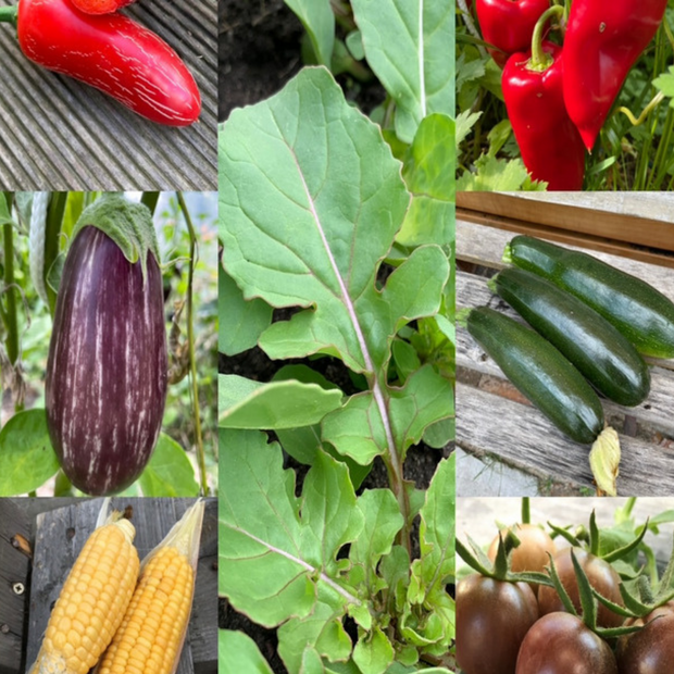 Gemüsesamen-Set "Grillgemüse" - 7 BIO-Gemüsesorten [samenfest]