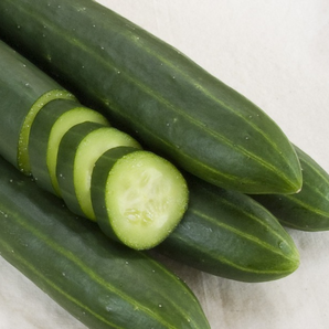 Gurke "Arola" - BIO-Samen