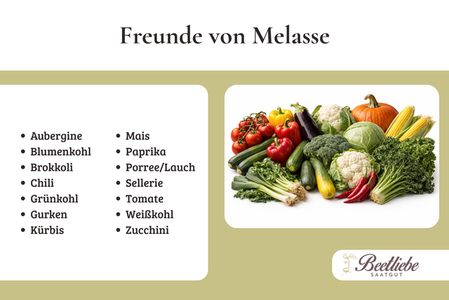Infografik Gem&uuml;searten die von Melasse D&uuml;nger profitieren