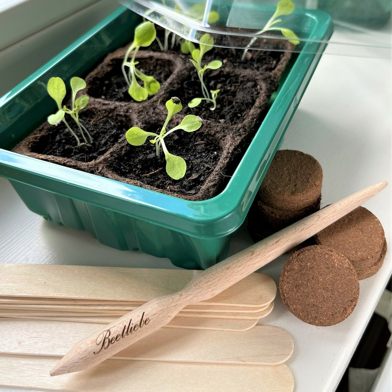 Anzuchtschalen Set [Kunststoff] & Pikierstab aus Holz