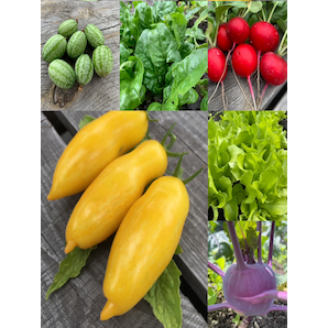 Gemüsesamen-Set "Urban Gardening" - 6 BIO-Gemüsesorten [samenfest]